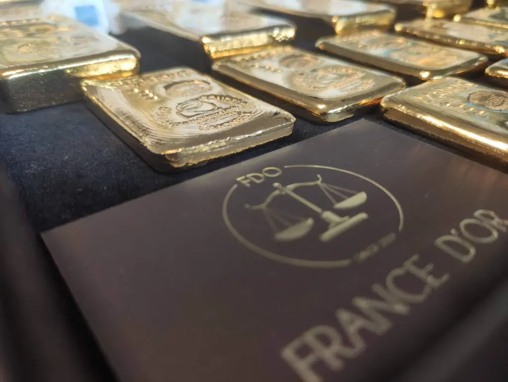Francedor scaled (1)