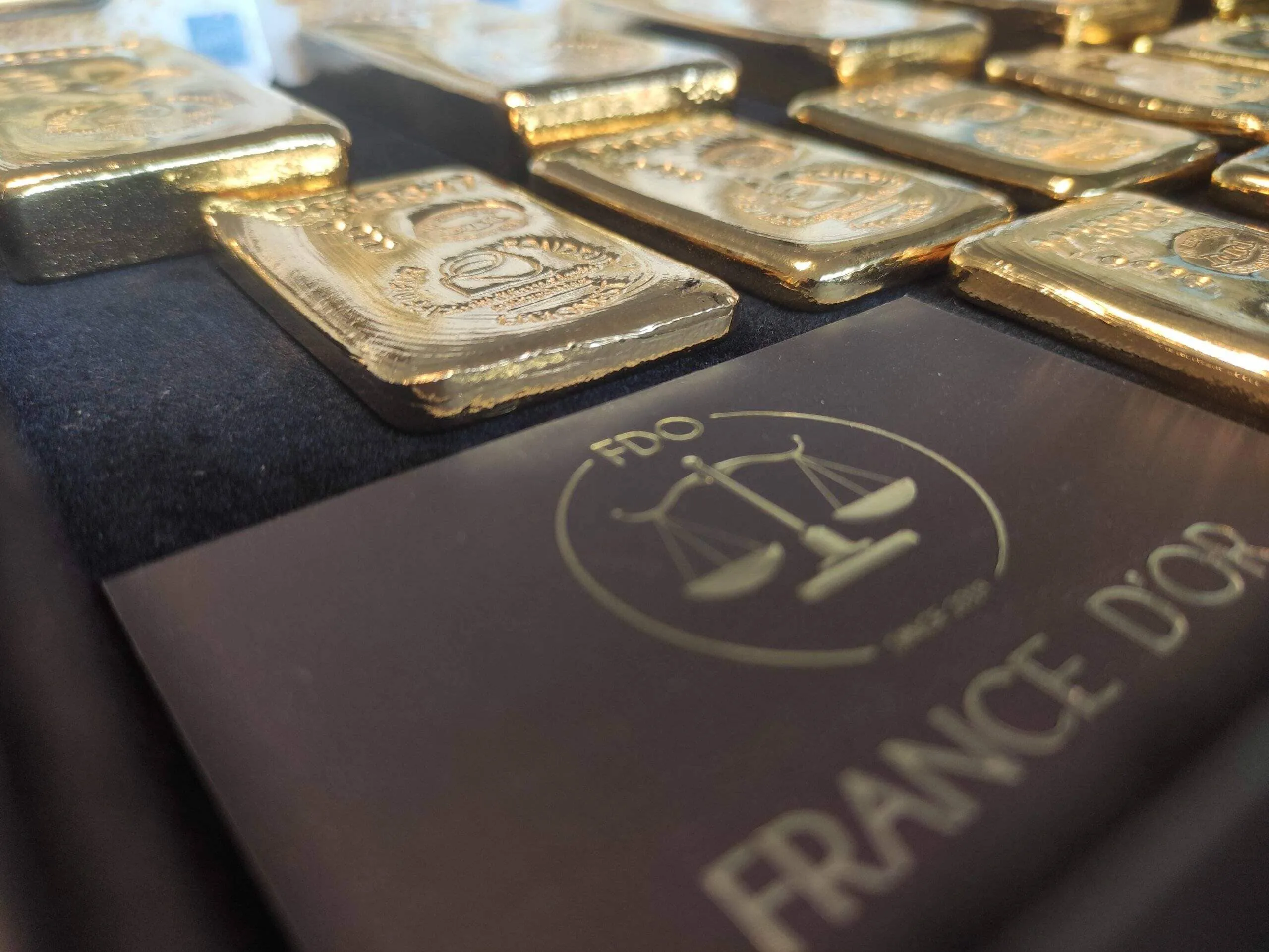 Francedor scaled (1)