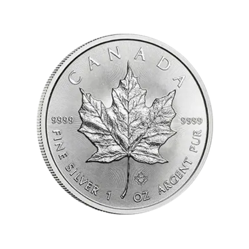 maple leaf pile